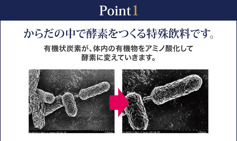 からだの中で酵素をつくる特殊飲料です。